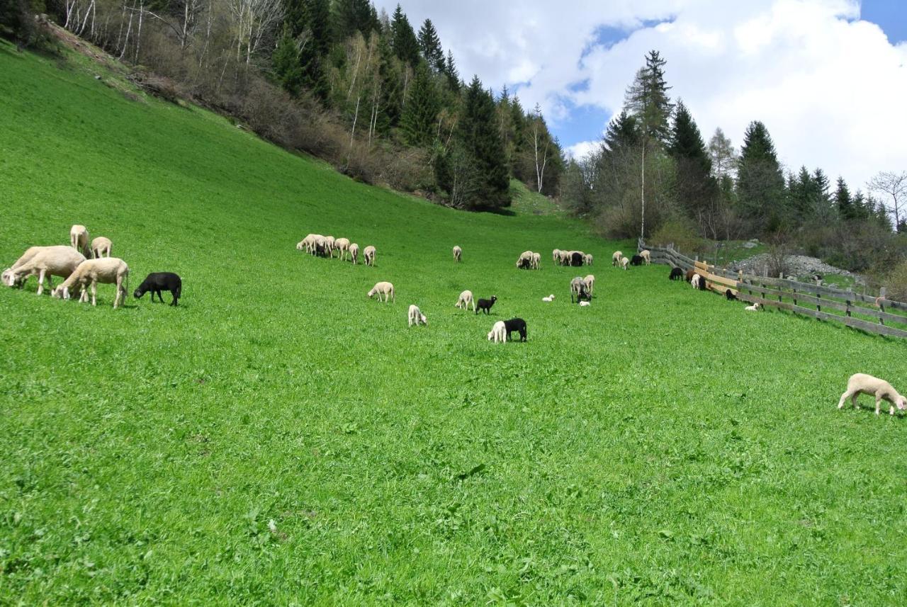 Kals-am Großglockner Ferienwohnungen Niederarnigerhof Familie Bauernfeind מראה חיצוני תמונה