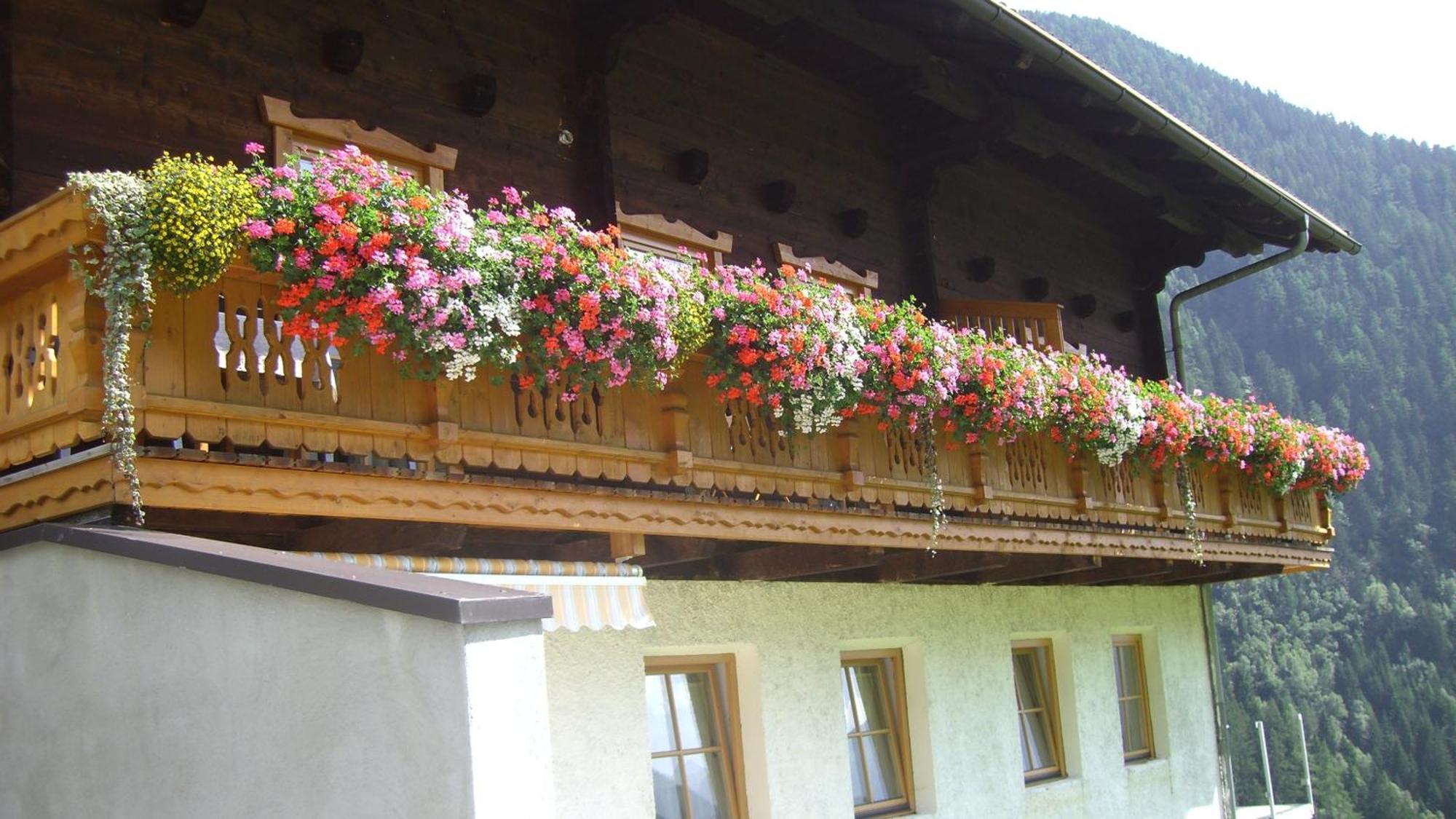 Kals-am Großglockner Ferienwohnungen Niederarnigerhof Familie Bauernfeind מראה חיצוני תמונה
